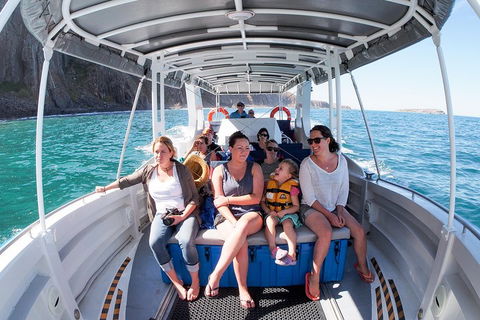 Seal Island Boat Tour From Victor Harbor - Holiday Byron Bay 1