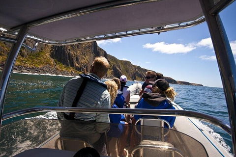 Seal Island Boat Tour From Victor Harbor - Holiday Byron Bay 2