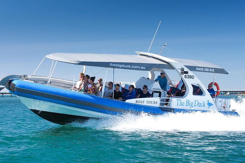 Seal Island Boat Tour From Victor Harbor - Holiday Byron Bay 3