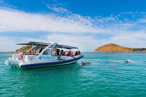 Southern Ocean Adventure From Victor Harbor - Holiday Byron Bay 1