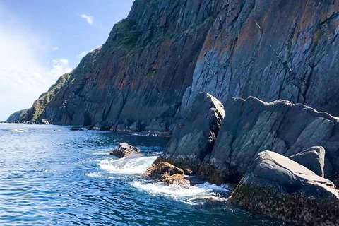 Southern Ocean Adventure From Victor Harbor - Holiday Byron Bay 3
