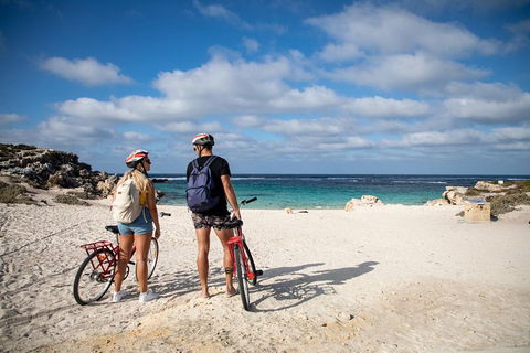 Experience Rottnest With Ferry & Bike Hire From Perth Or Fremantle - Holiday Byron Bay 5
