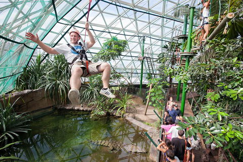 Cairns ZOOM And Wildlife Dome - Holiday Byron Bay 4