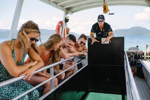 Fitzroy Island Day Trip From Cairns - Holiday Byron Bay 4