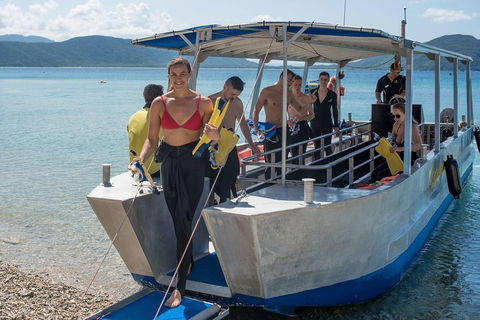 Fitzroy Island Day Trip From Cairns - Holiday Byron Bay 5