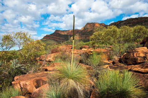6-Day Eyre Peninsula & Flinders Ranges Adventure Tour - Holiday Byron Bay 1