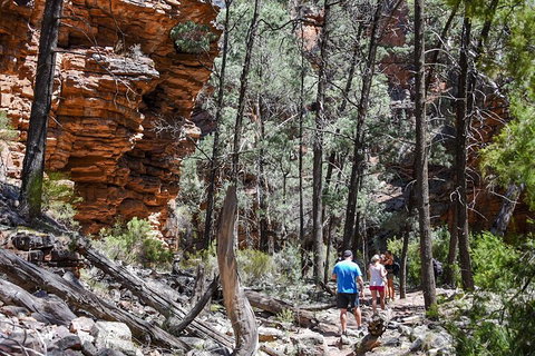 6-Day Eyre Peninsula & Flinders Ranges Adventure Tour - Holiday Byron Bay 5