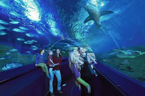 General Admission Entry At AQWA - Holiday Byron Bay 1