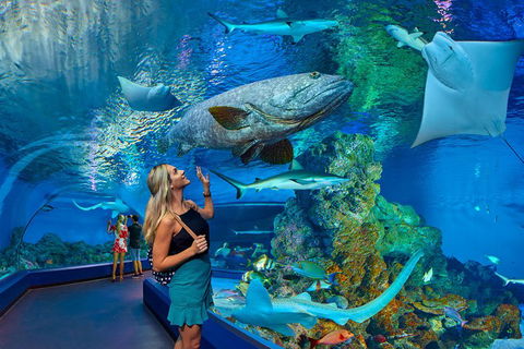 Cairns Aquarium Admission Ticket - Holiday Byron Bay 3