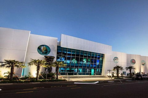 Cairns Aquarium Admission Ticket - Holiday Byron Bay 4