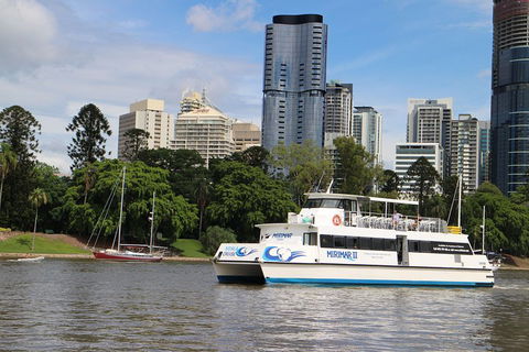 Lone Pine Koala Sanctuary Admission With Brisbane River Cruise - Holiday Byron Bay 2