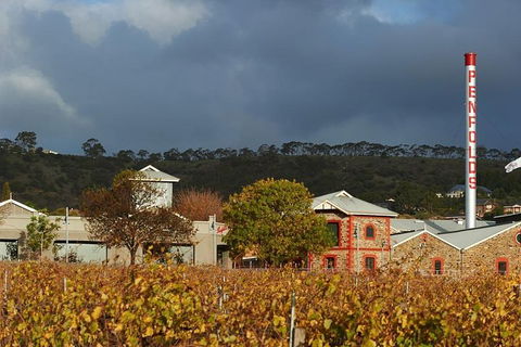 Penfolds Magill Estate Iconic Experience - Holiday Byron Bay 3