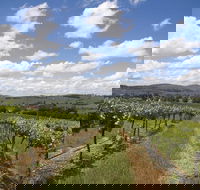 Hunter Valley Wine Tour from Sydney incl Lunch Cheese Chocolate and Distillery - Holiday Byron Bay