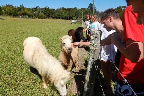 Atherton Tablelands Waterfalls Tour From Cairns - Holiday Byron Bay 4