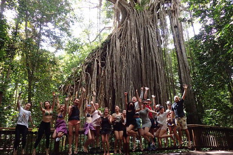 Atherton Tablelands Waterfalls Tour From Cairns - Holiday Byron Bay 5