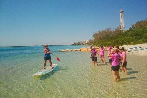 Golden Beach 1-Hour Stand-Up Paddleboard Hire On The Sunshine Coast - Holiday Byron Bay 1
