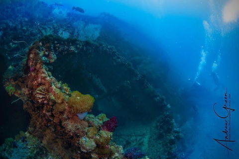Scuba Dive The S.S. Yongala Wreck On The Great Barrier Reef. - Holiday Byron Bay 3